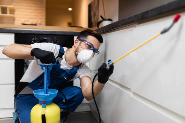 Best Local Pest Control Services  in Lockwood, MT