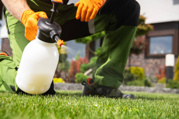 Best Cockroach Control Services  in Lockwood, MT