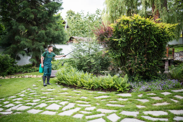 Best Affordable Exterminators  in Lockwood, MT