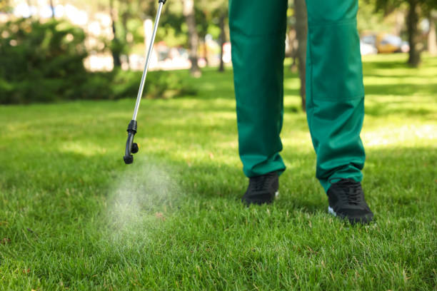 Best Emergency Pest Control  in Lockwood, MT