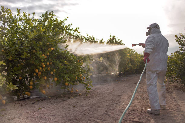 Best Best Pest Control Companies  in Lockwood, MT