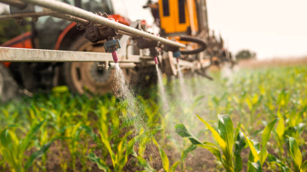 Best Best Pest Control Companies  in Lockwood, MT