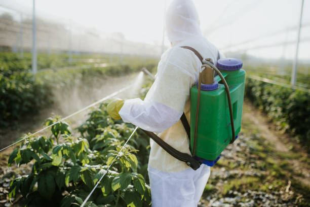 Best Cockroach Control Services  in Lockwood, MT